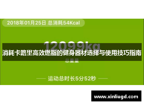 消耗卡路里高效燃脂的健身器材选择与使用技巧指南