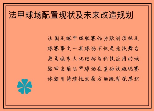 法甲球场配置现状及未来改造规划
