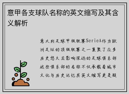 意甲各支球队名称的英文缩写及其含义解析